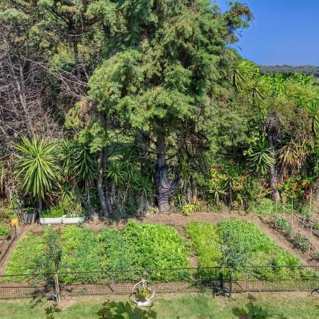 Christinas Lofts Daire